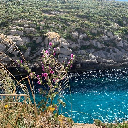 Private Bedroom With Balcony In A Shared Apartment At The Bay Of Xlendi Exteriör bild
