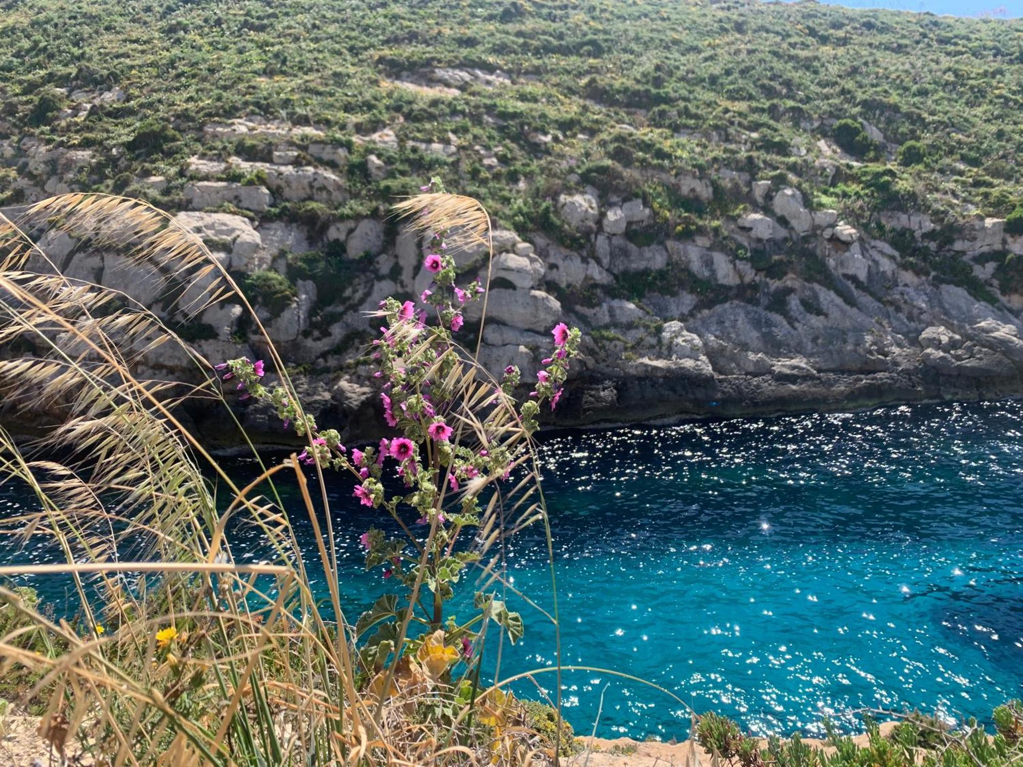 Private Bedroom With Balcony In A Shared Apartment At The Bay Of Xlendi Exteriör bild